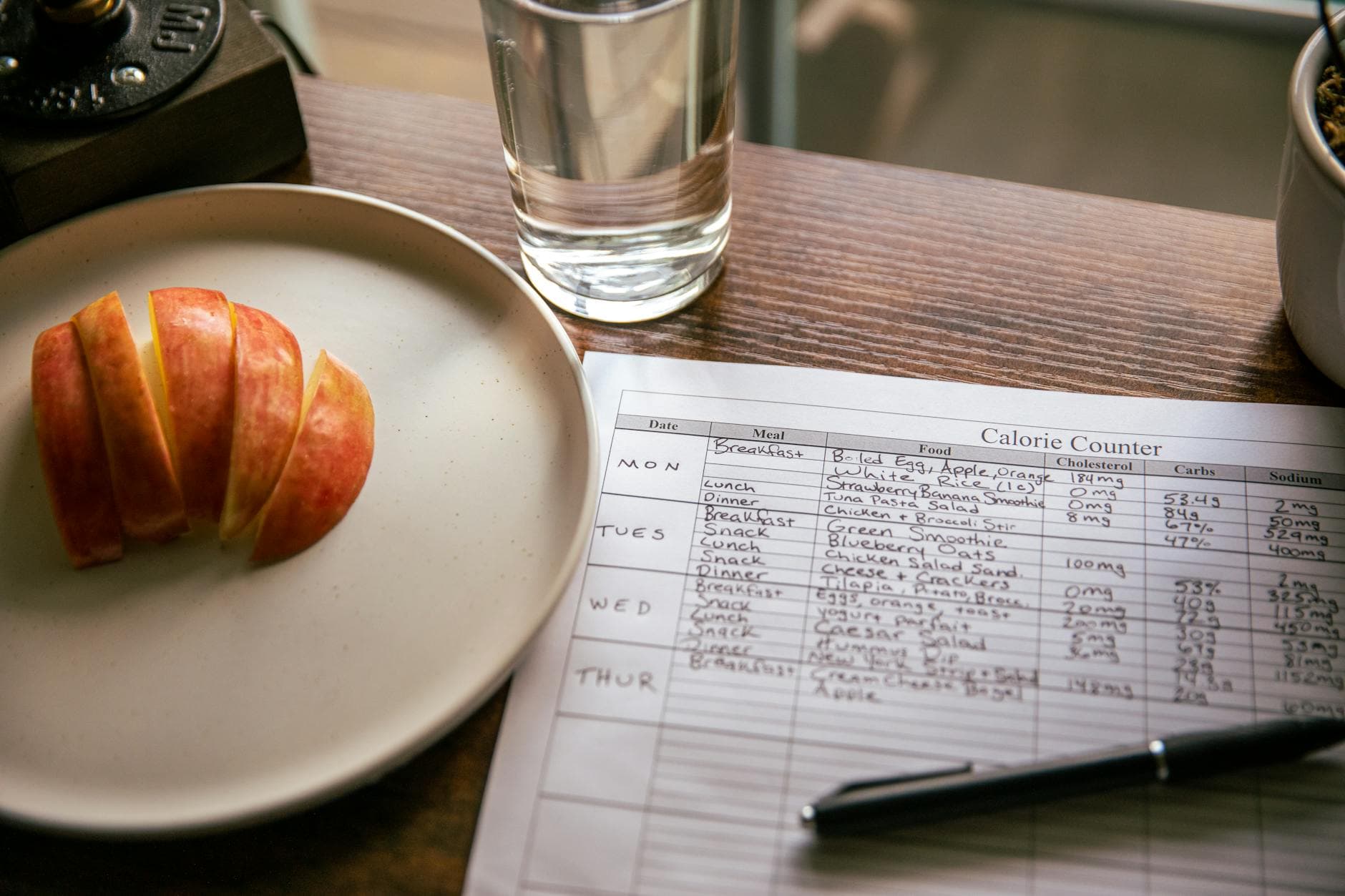 A table setup with apple slices, a calorie counting sheet, and a glass of water for a dieting scene. - healthy food list