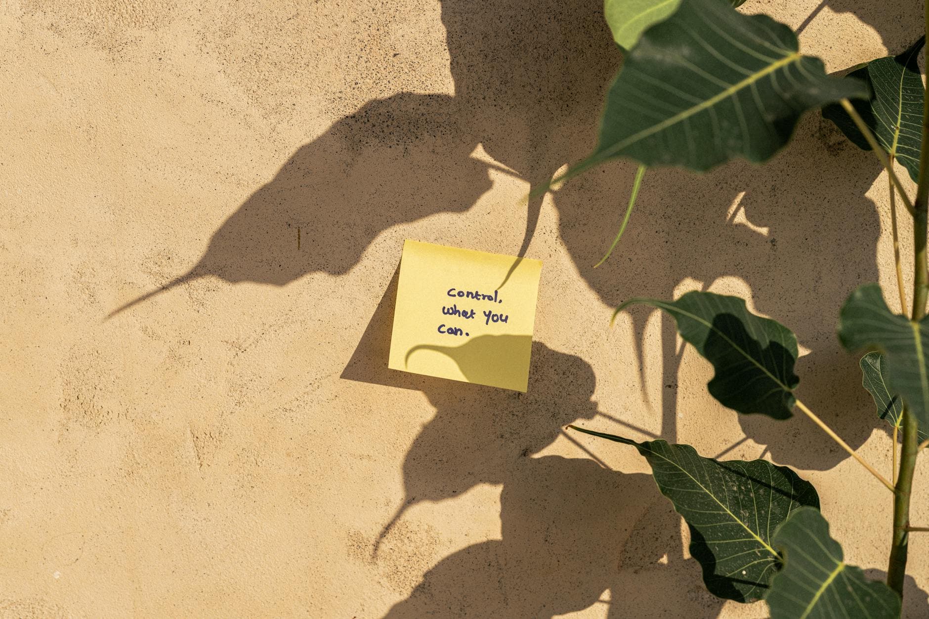 A motivational note on a wall surrounded by plant shadows in Dubai's sunlight. - what is meditation