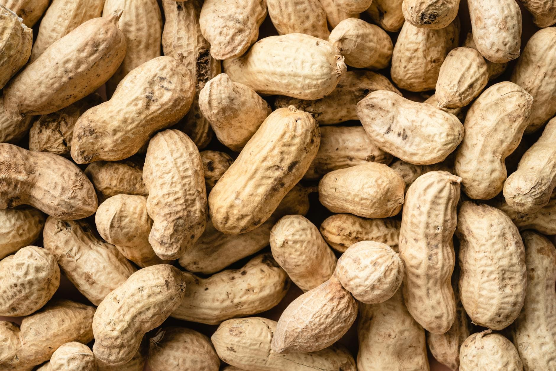 A detailed close-up of raw peanuts in their shells, showcasing natural textures. - high protein snacks