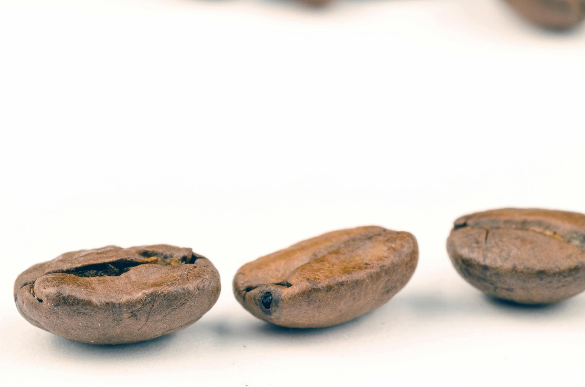 Three roasted coffee beans on a white background, emphasizing texture and detail. - natural energy boost