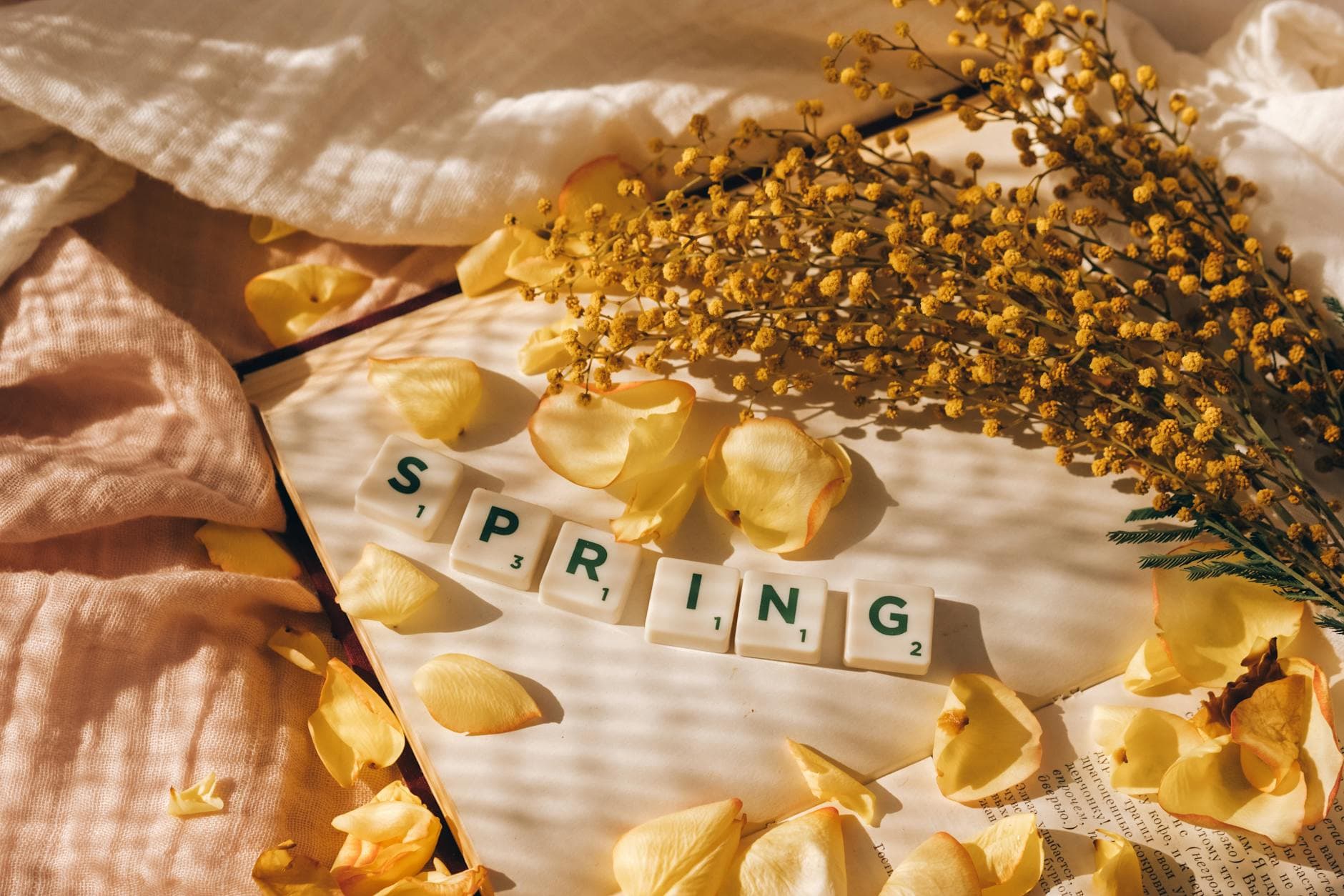 Flat lay of Scrabble tiles, yellow petals, and mimosa for a spring theme. - metabolism reset spring