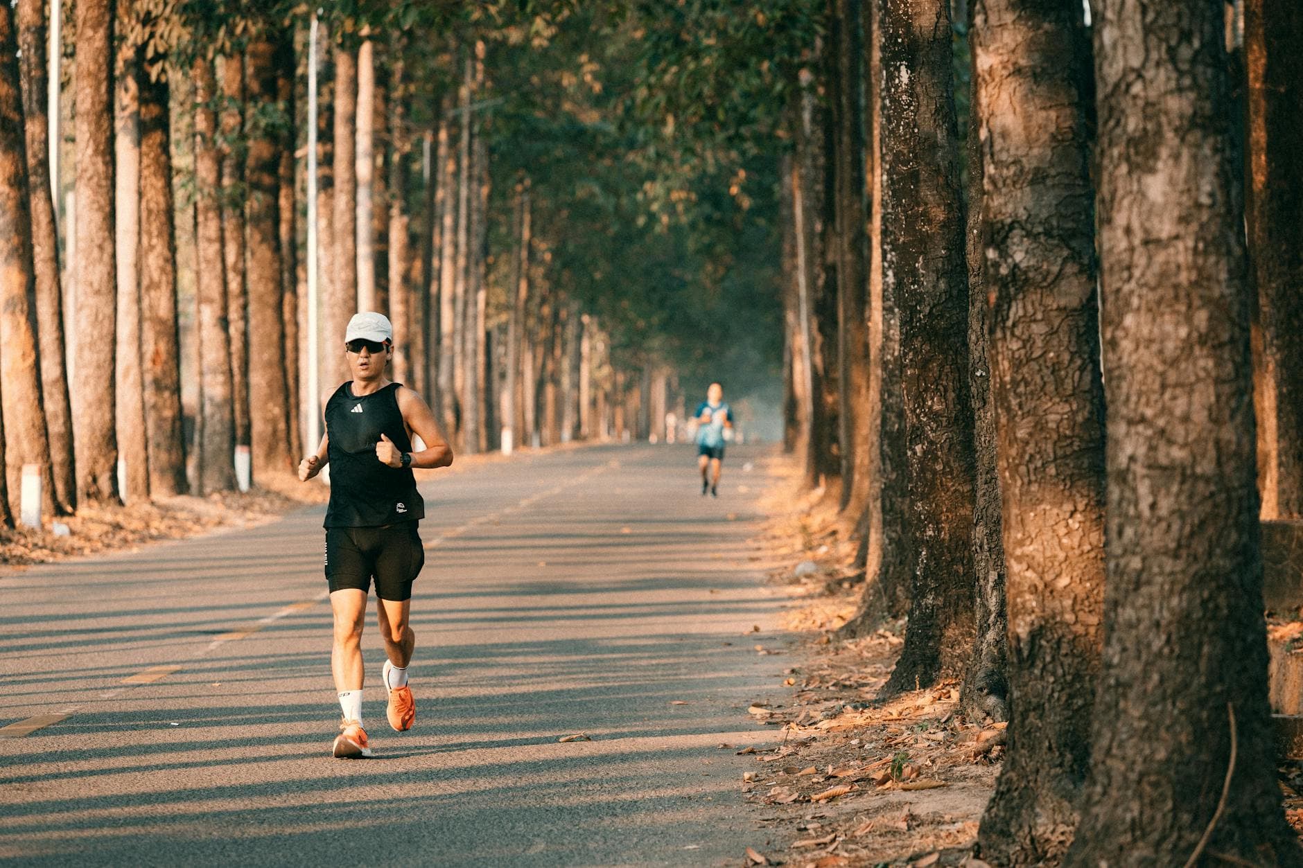 Two runners exercising on a serene forest road lined with tall trees, under warm daylight. - hiking endurance training