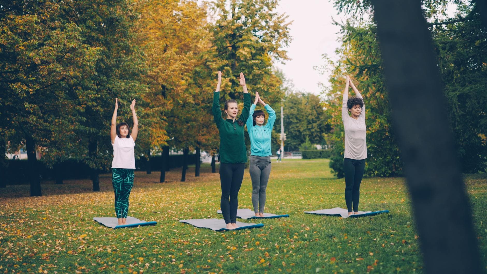 Group of women practicing yoga outdoors on a fall day. - outdoor yoga beginner