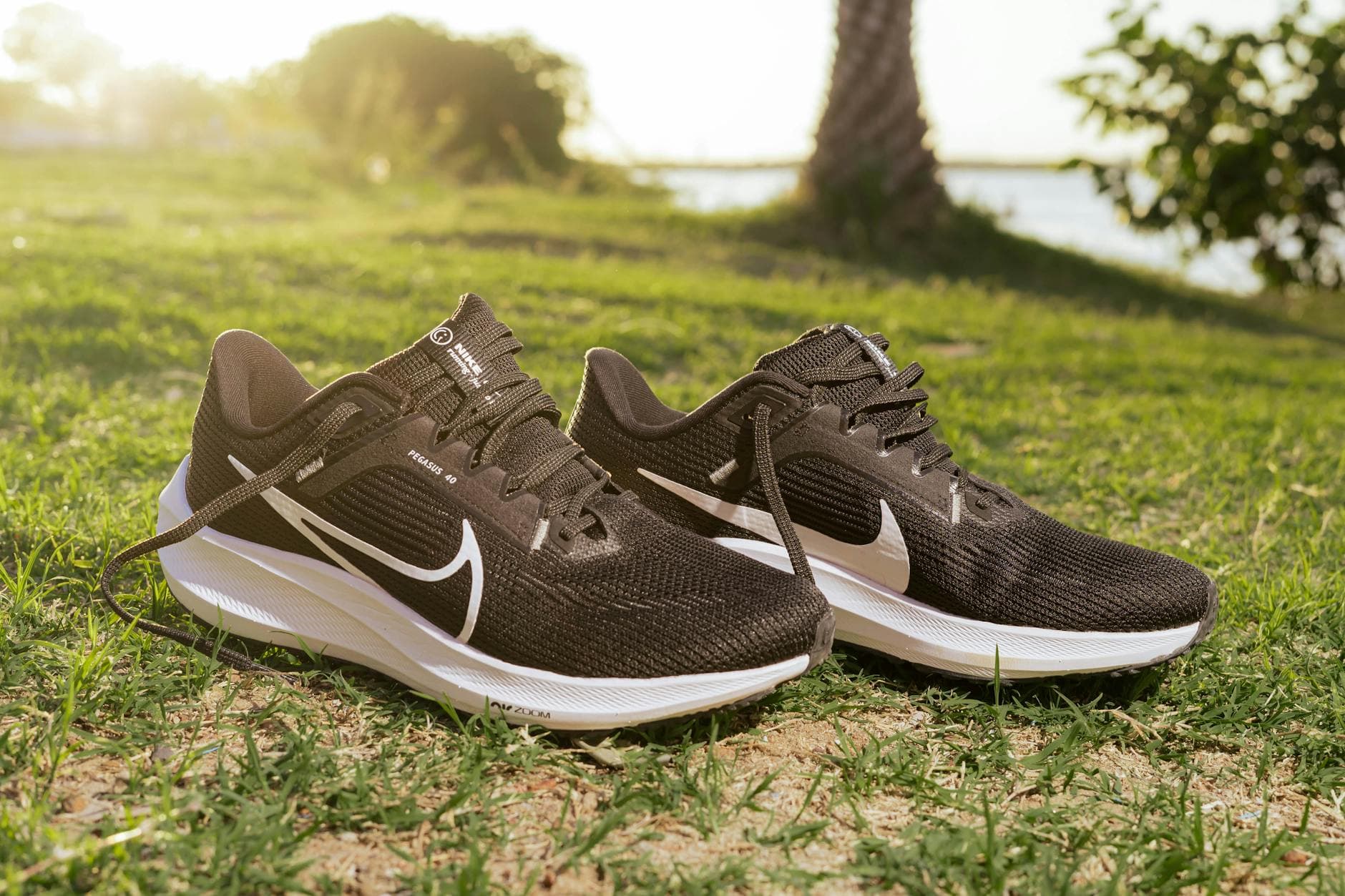 Pair of black running shoes placed on grass in a sunny outdoor setting. - best running shoes