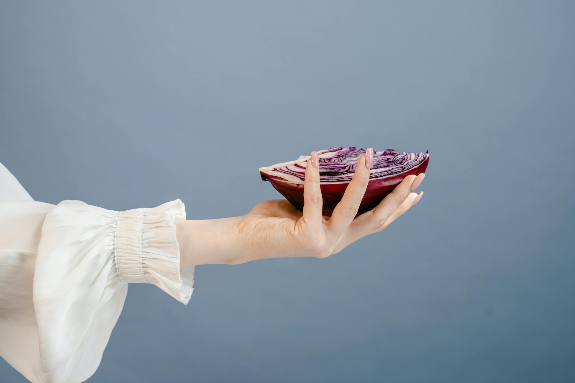 A woman's hand gracefully holds a sliced red cabbage against a blue background, symbolizing freshness and health. - anti inflammatory diet