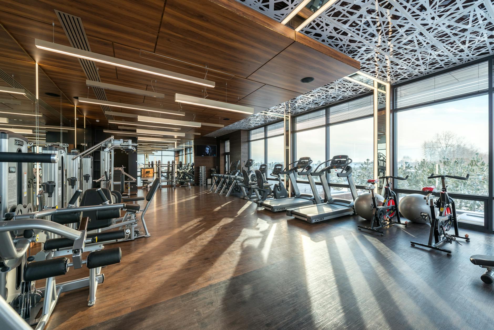 Spacious modern gym with treadmills, exercise bikes, and weights under natural lighting. - best cardio for weight loss