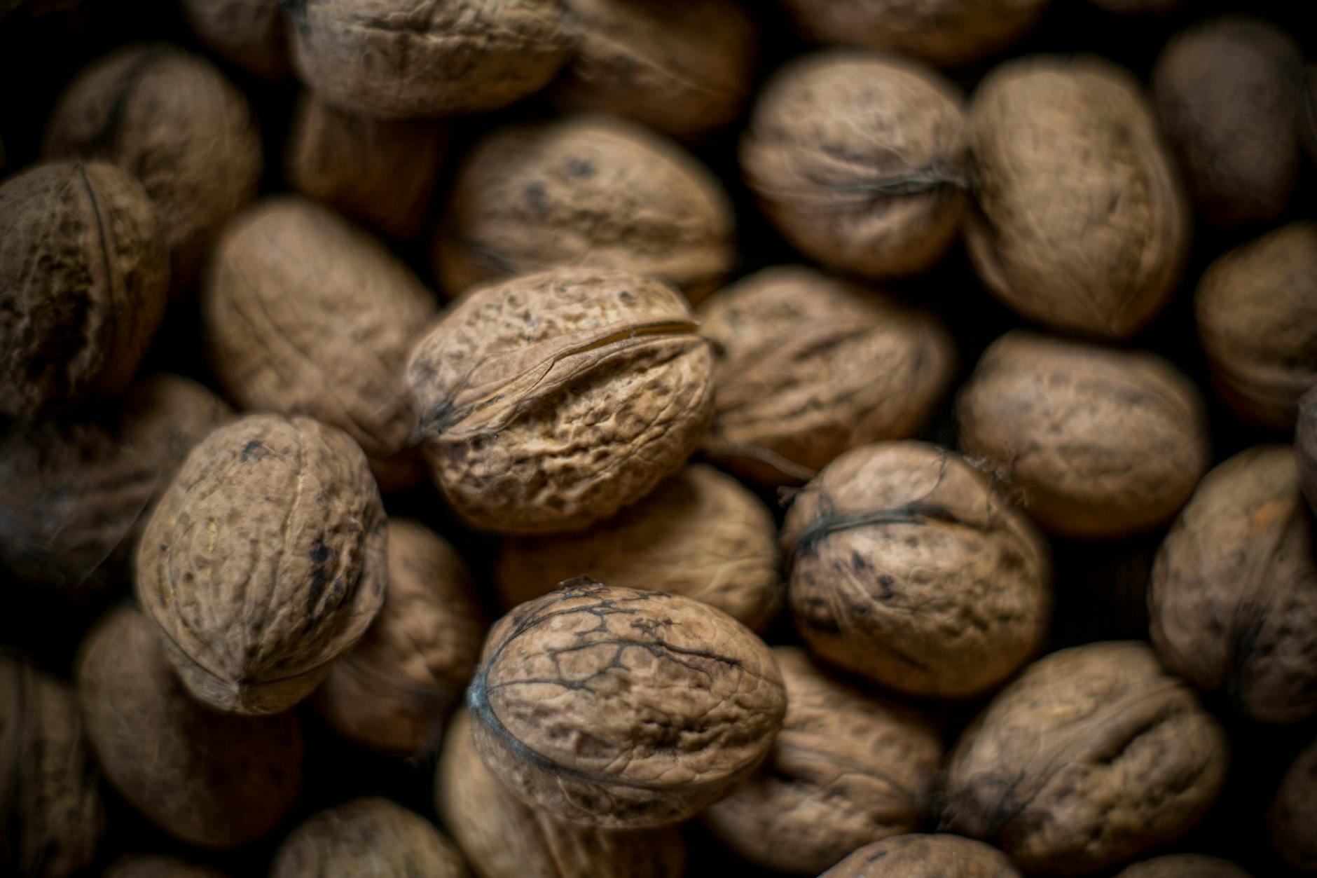 Detailed close-up photo showcasing the texture of brown walnut shells. - healthy food list