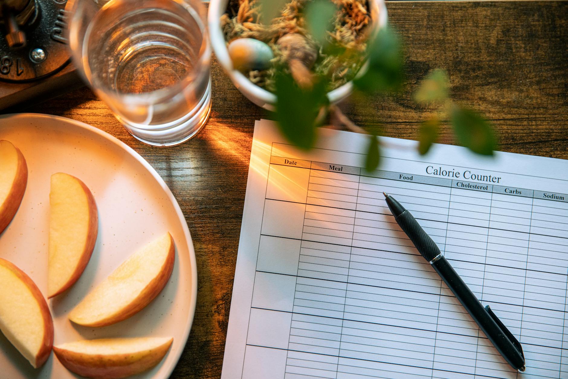 Apple slices, water glass, and a pen on a calorie counter sheet - a healthy lifestyle concept. - healthy snacks for weight loss