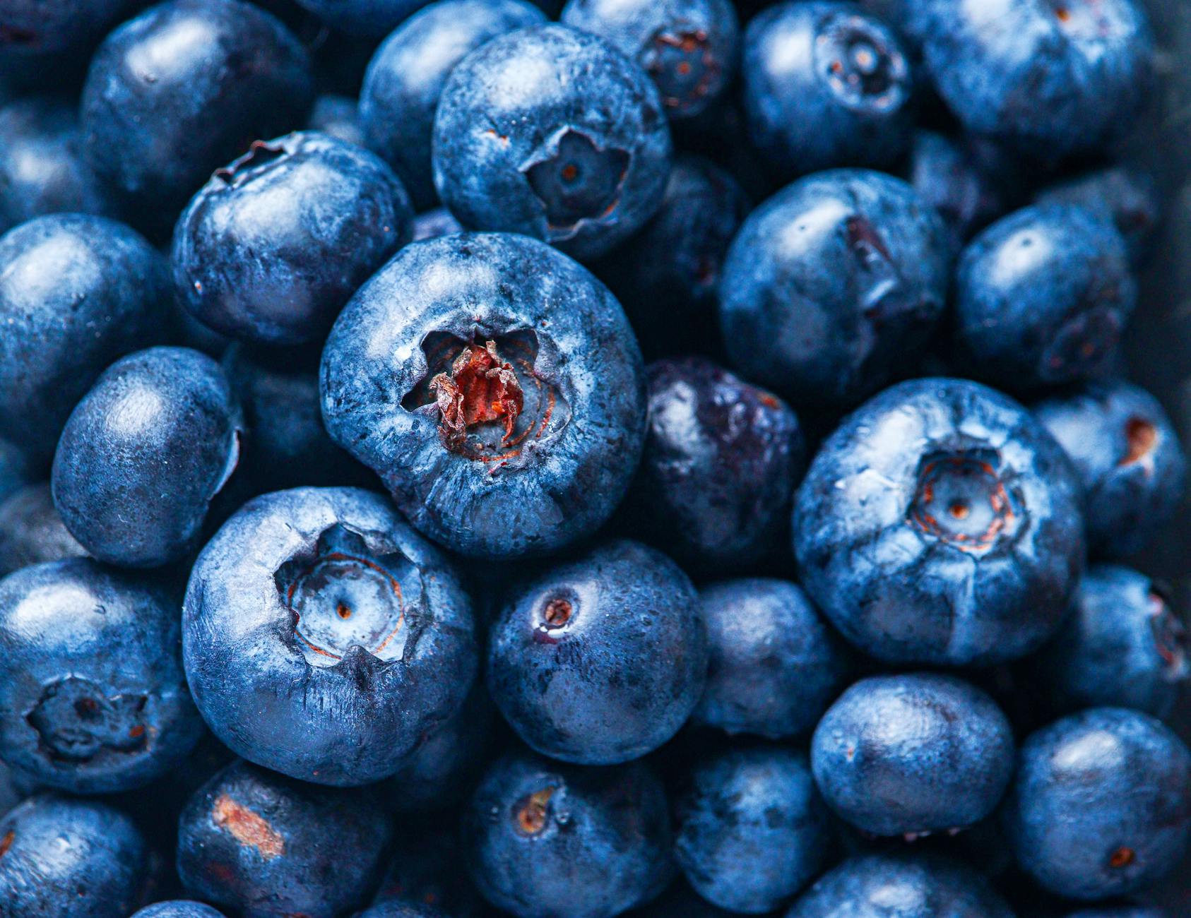 A vibrant close-up of fresh blueberries, showcasing their natural color and texture. - immune boosting foods list
