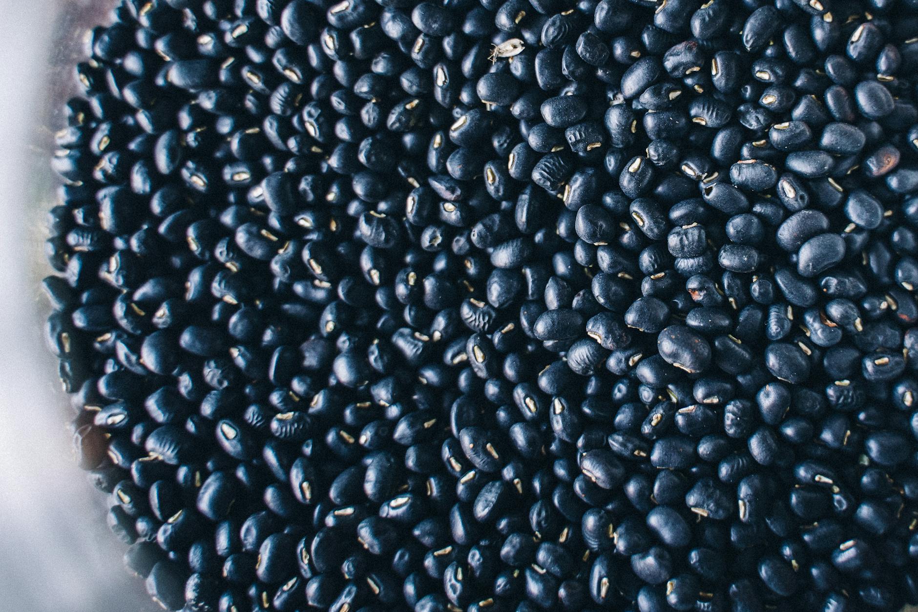 High-resolution close-up of nutritious organic black beans, perfect for healthy recipes. - plant based protein diet plan