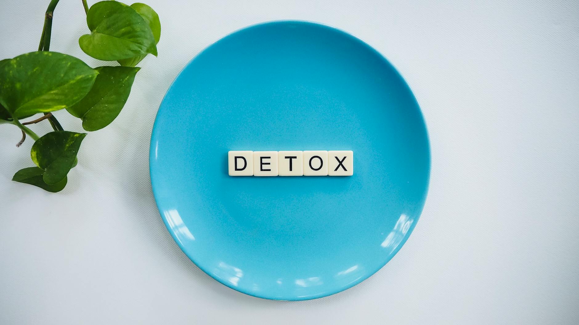 Minimalist concept of detox with letter tiles on a turquoise plate and green leaves. - body detox cleanse