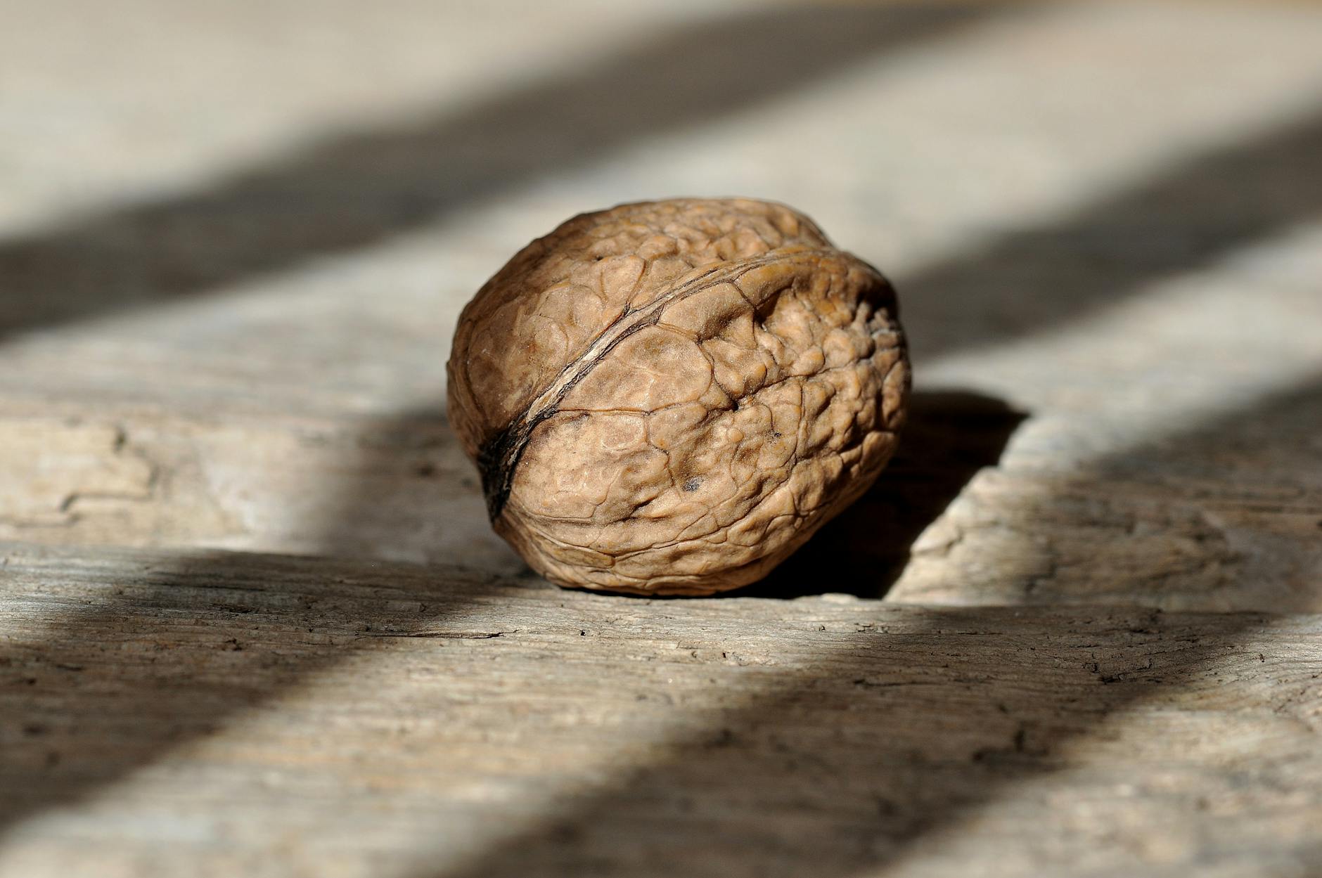Detailed close-up of a single walnut placed on a rustic wooden surface with sunlight. - fat burning foods