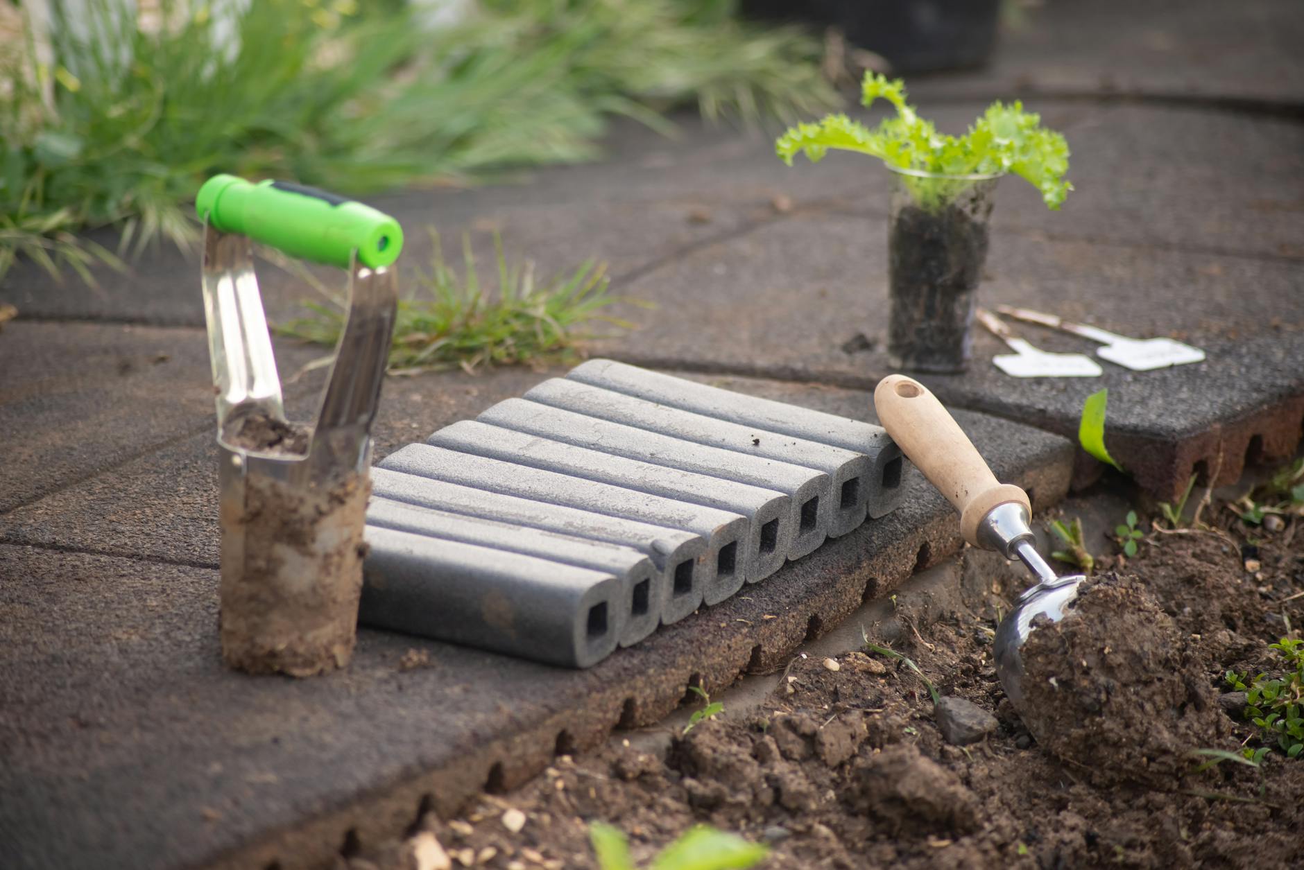 Close-up of gardening tools and seedlings in an outdoor garden setting, ideal for planting enthusiasts. - gardening for exercise