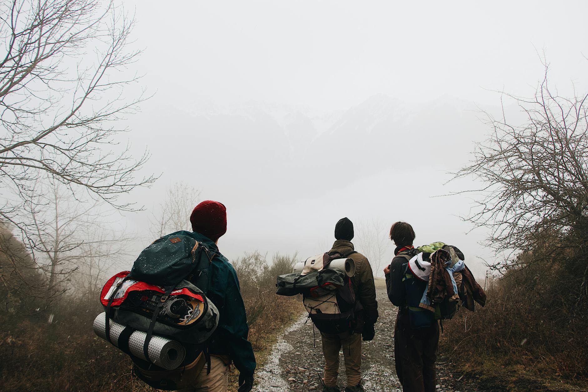 Three hikers explore a foggy winter trail, showcasing adventure and nature's beauty. - hiking calorie burn
