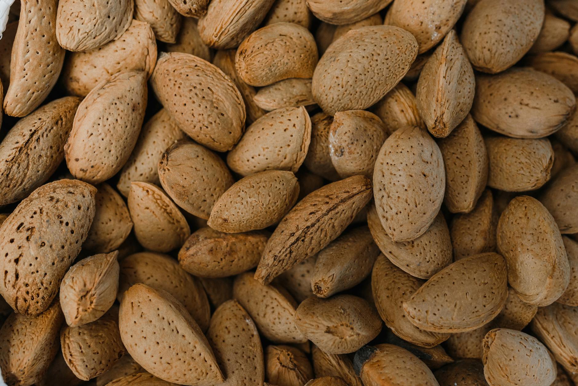 Detailed photograph of raw almonds with shells, highlighting natural texture and organic appeal. - magnesium citrate benefits