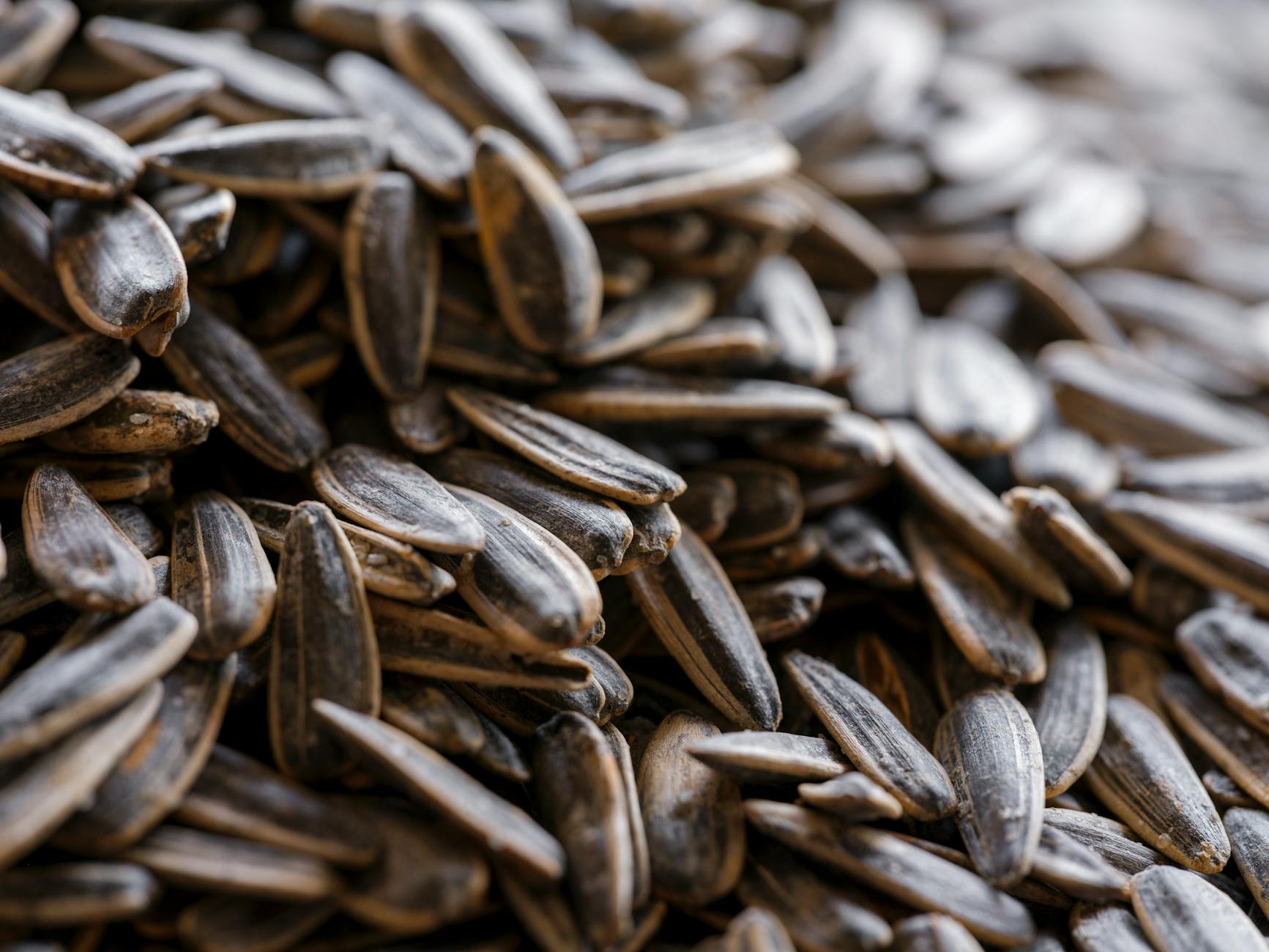 Detailed close-up of organic roasted sunflower seeds, showcasing natural texture and healthy nutrition. - magnesium glycinate benefits