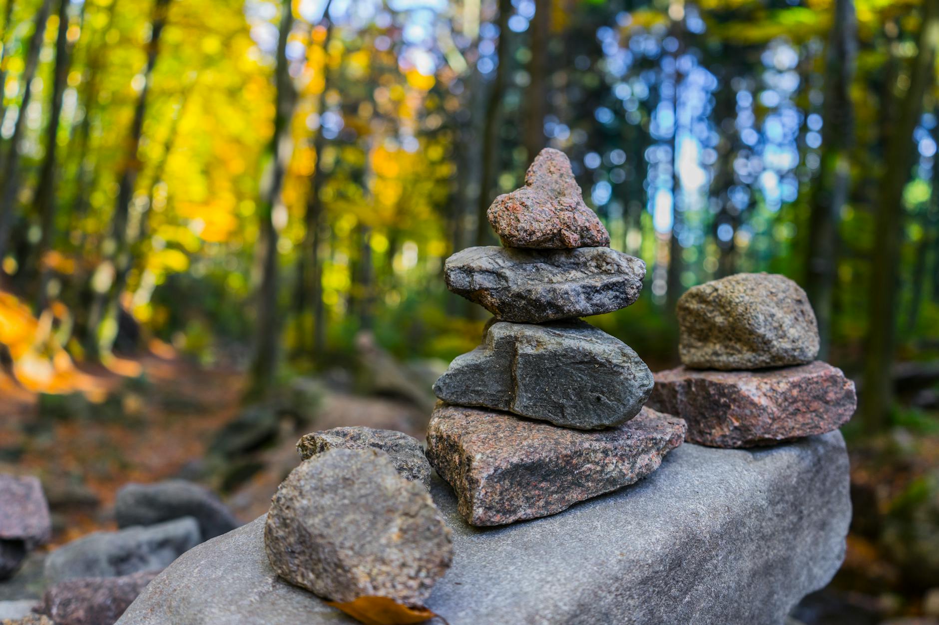 A serene forest scene with balanced stone stacks and fall foliage. - mindful nature walks