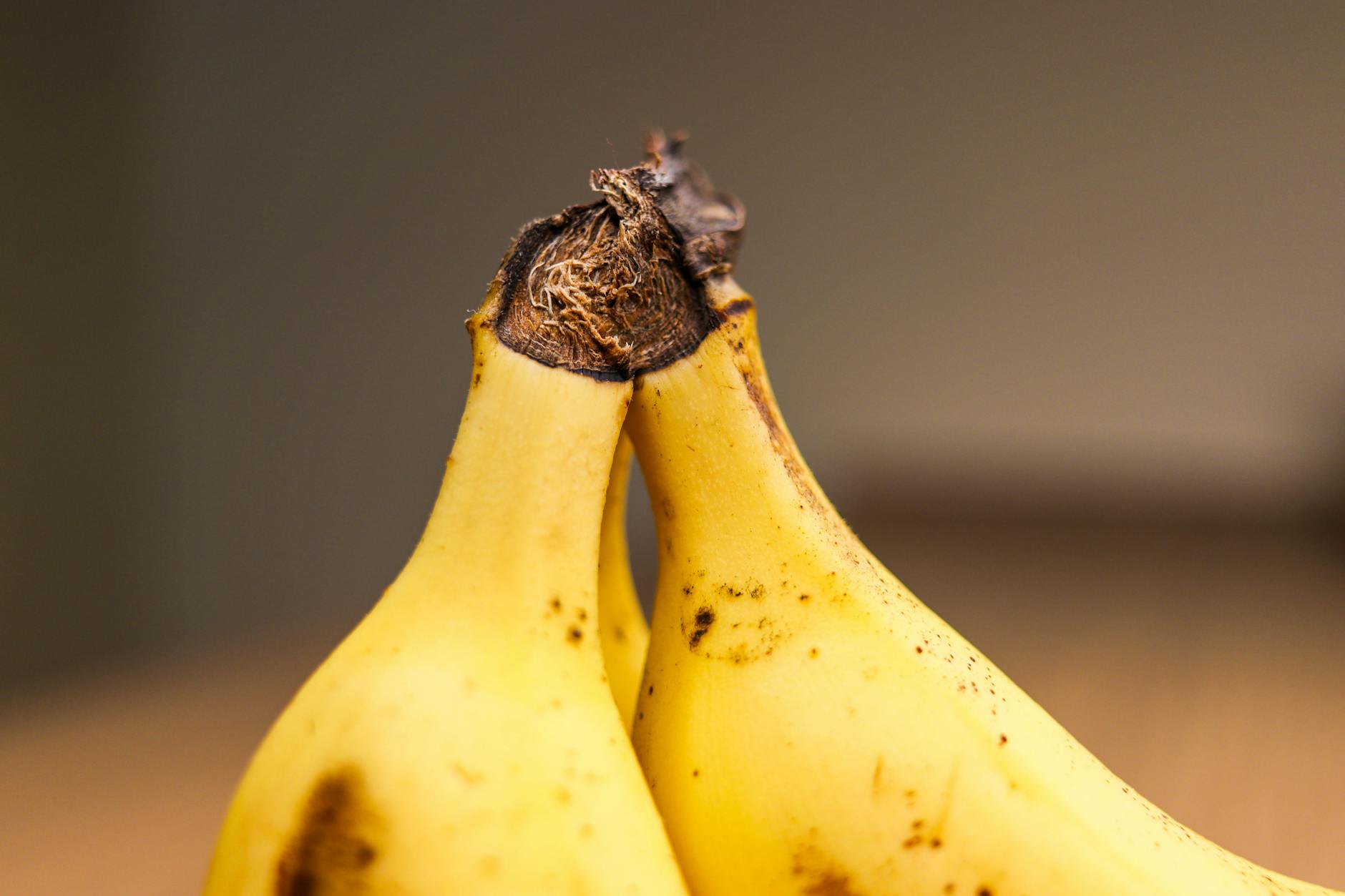 Detailed close-up of two ripe bananas on a wooden surface. Perfect for food photography. - potassium rich foods