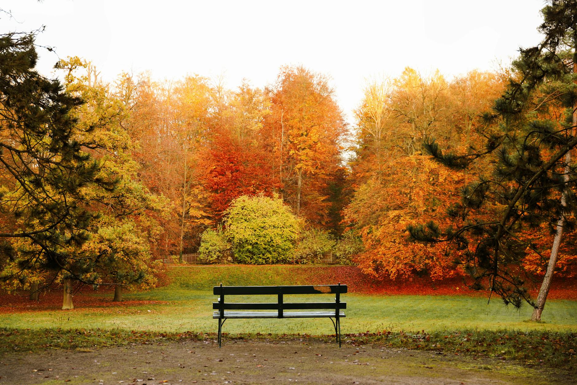 Tranquil park scene with a bench amidst vibrant autumn foliage in Calden, Germany. - seasonal mood changes