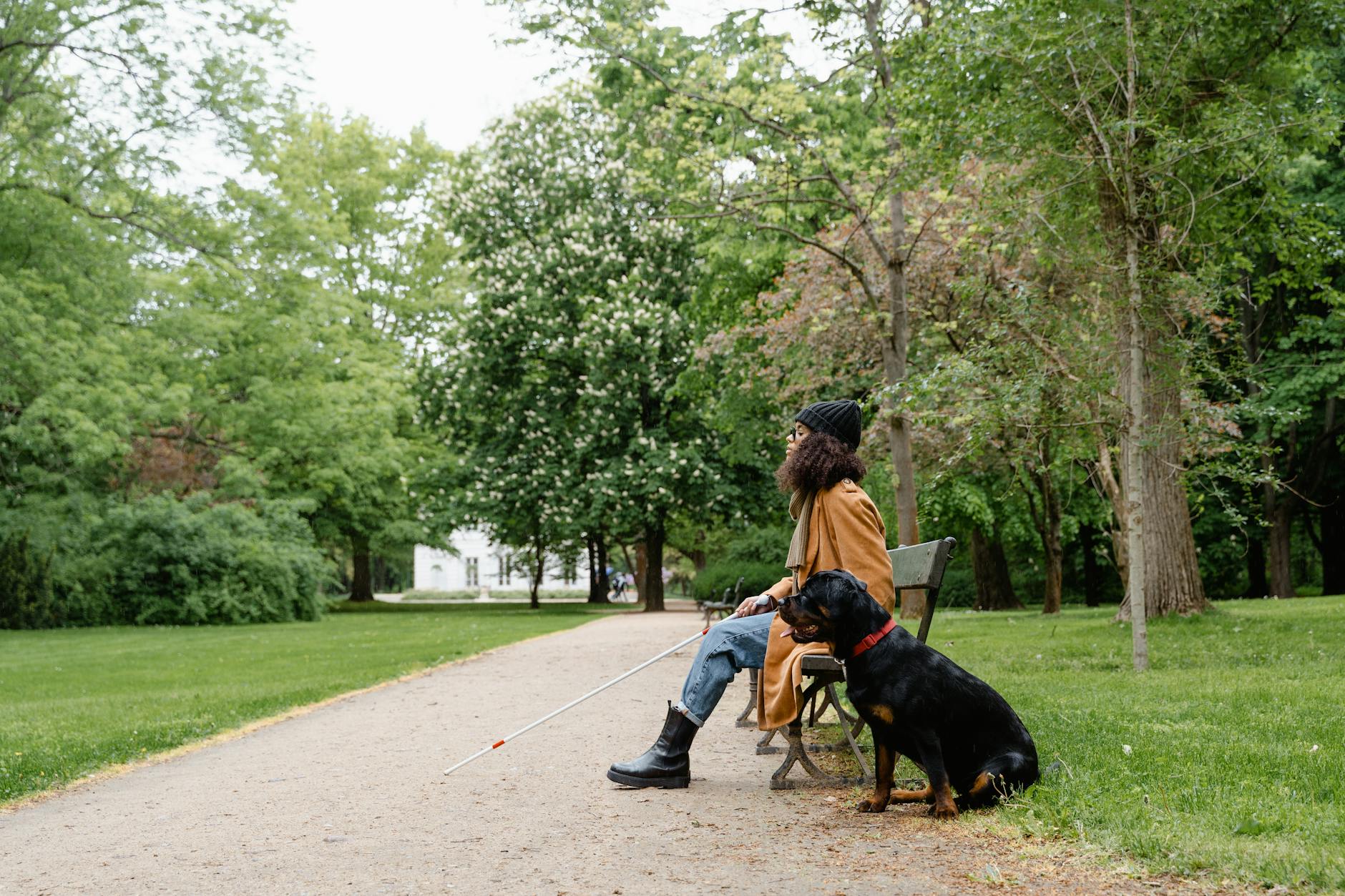 A woman with a guide dog and white cane sits on a park bench, embodying companionship. - spring hiking guide
