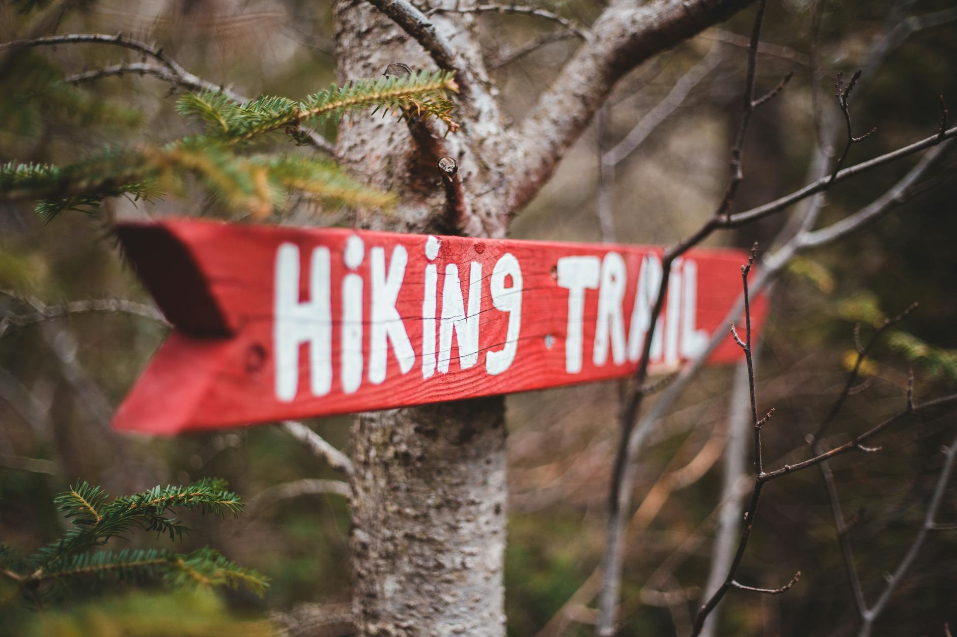 A red hiking trail sign attached to a tree in a forest. Perfect for outdoor and adventure themes. - spring hiking guide