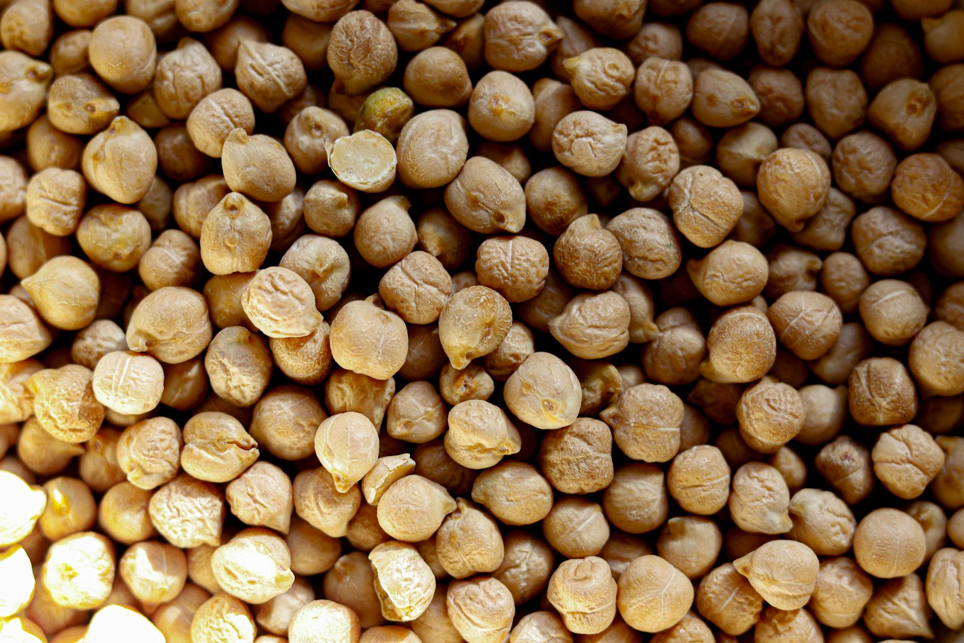 High-resolution close-up of dry chickpeas, perfect for culinary recipes and healthy eating visuals. - vegan protein sources