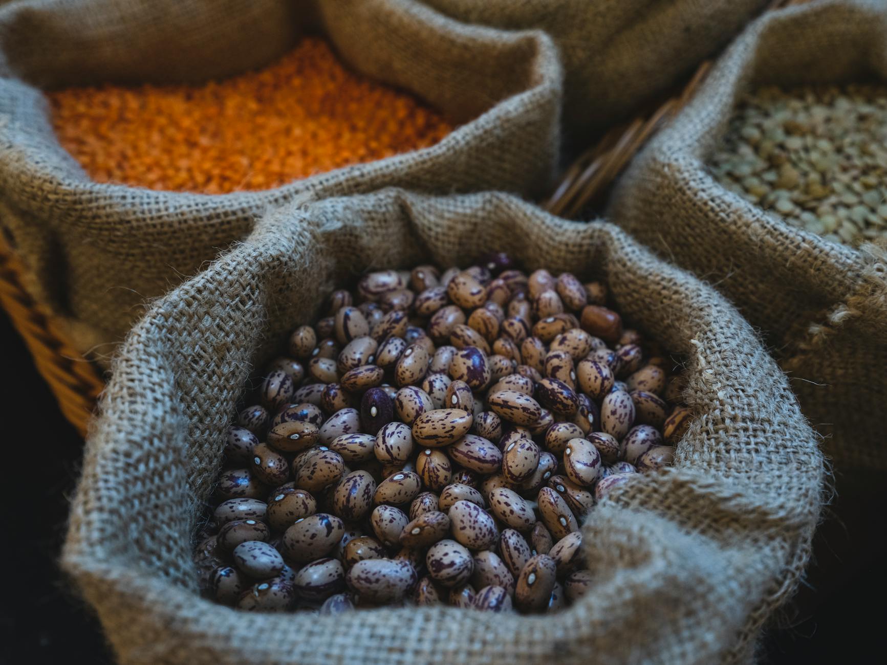 Close-up of pinto beans, lentils, and other grains in burlap sacks in a market setting. - vegan protein sources