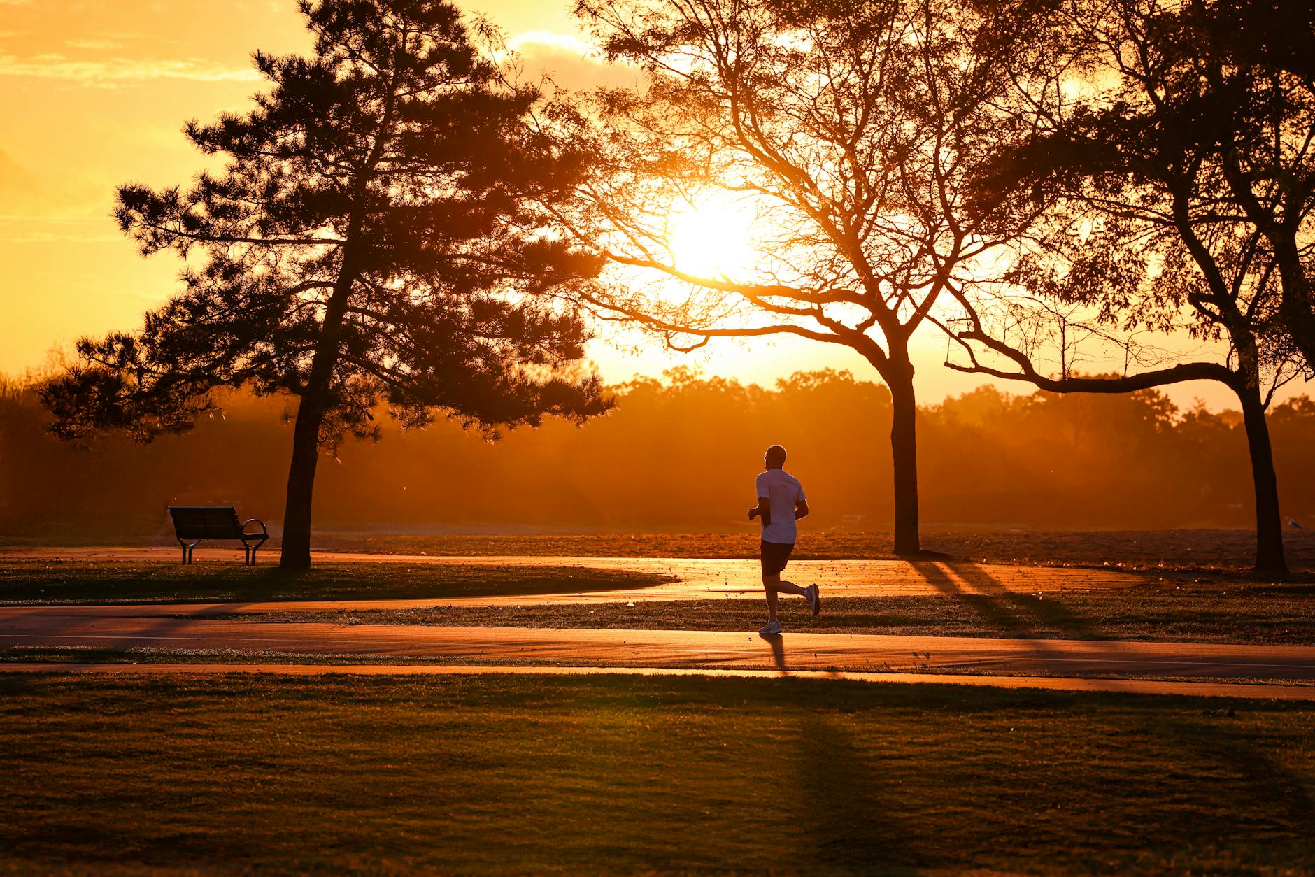 Silhouette of a runner at sunrise in Stamford's serene park setting. - couch to 5k spring