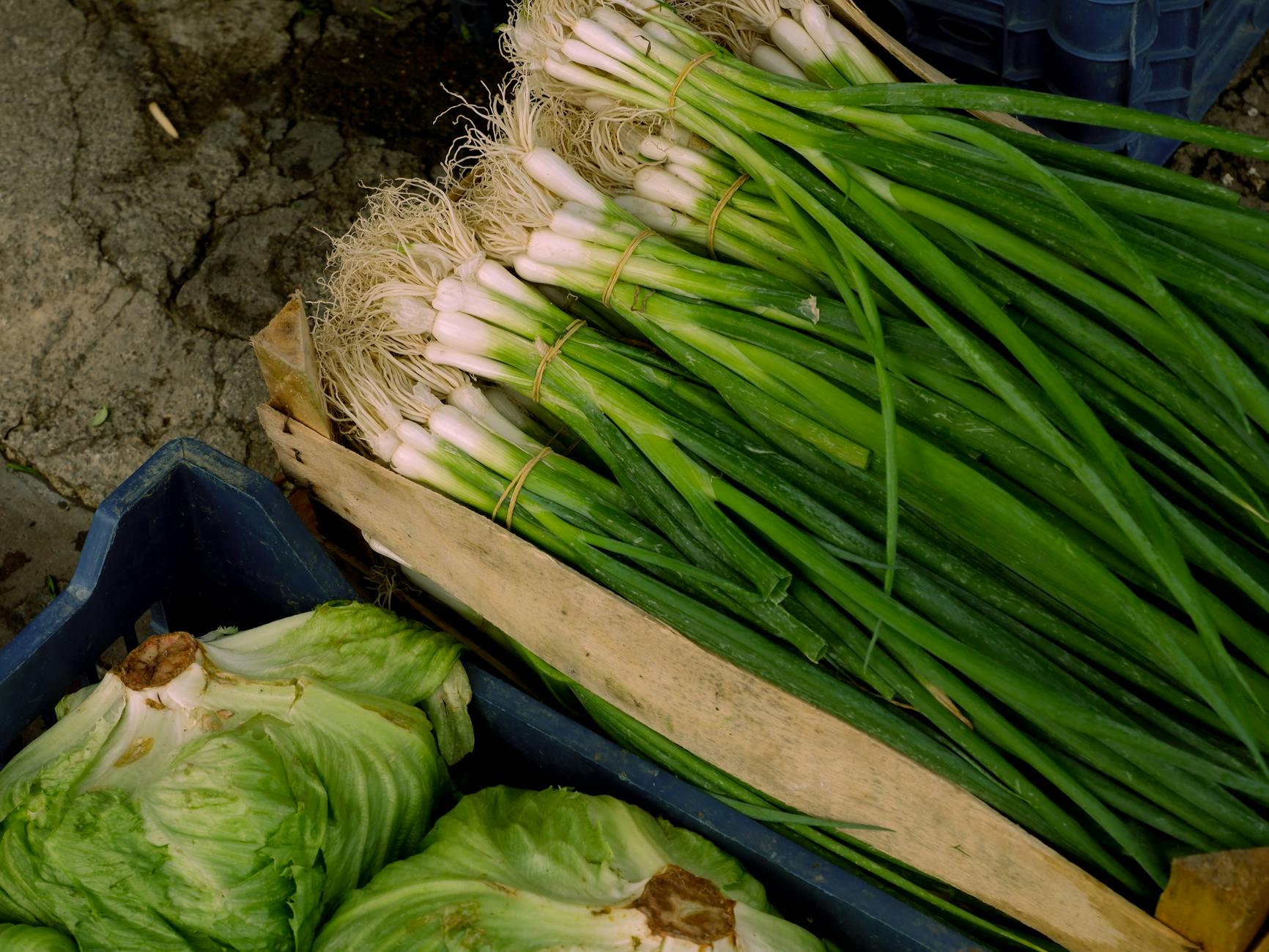 Bunches of green onions and cabbages in crates at a market. High-angle view. - spring produce guide