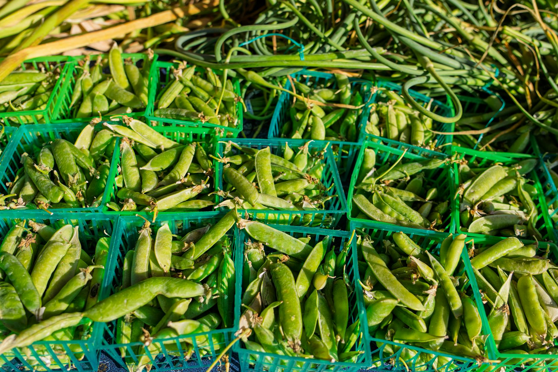 Vibrant green peas displayed in baskets, perfect for healthy eating or garden inspiration. - spring produce guide