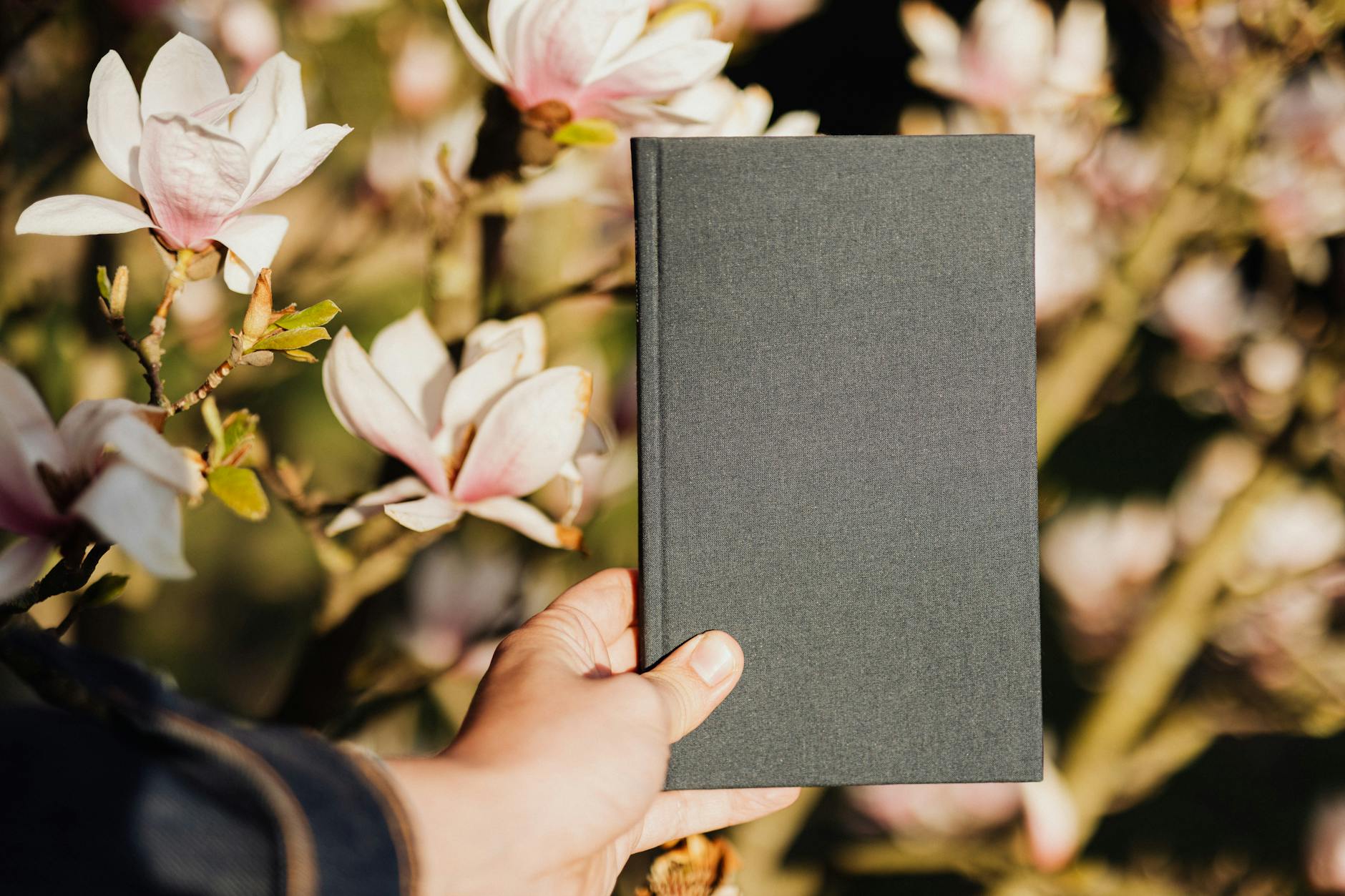 Crop faceless person holding closed book against blooming magnolia flowers background on sunny weather - spring reset journal prompts
