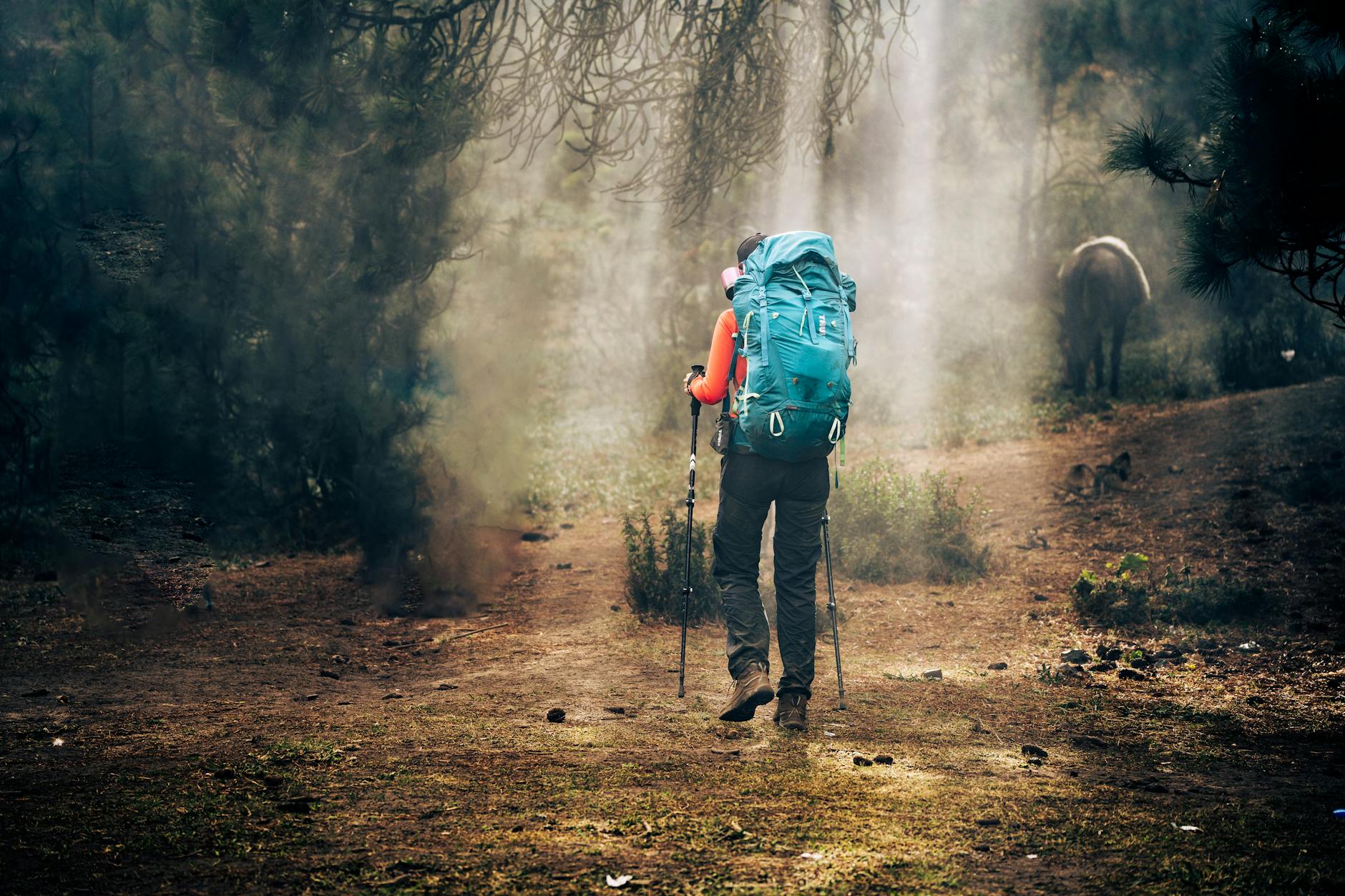 A hiker explores the misty forest trails of Tacaná, Guatemala, embracing adventure. - hiking endurance training