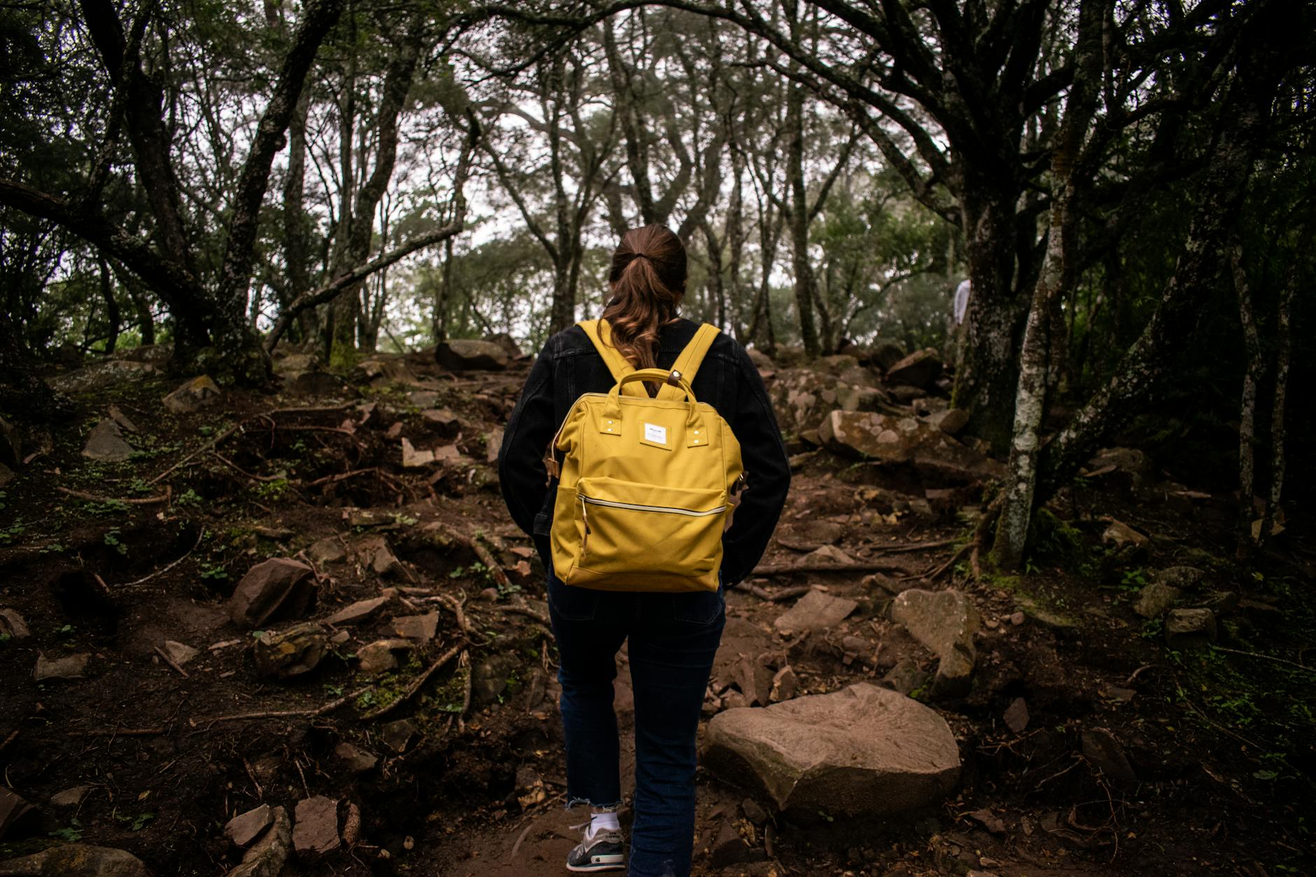 Person hiking through a rocky forest trail in Salta, Argentina, showcasing adventure and exploration. - hiking trail snacks
