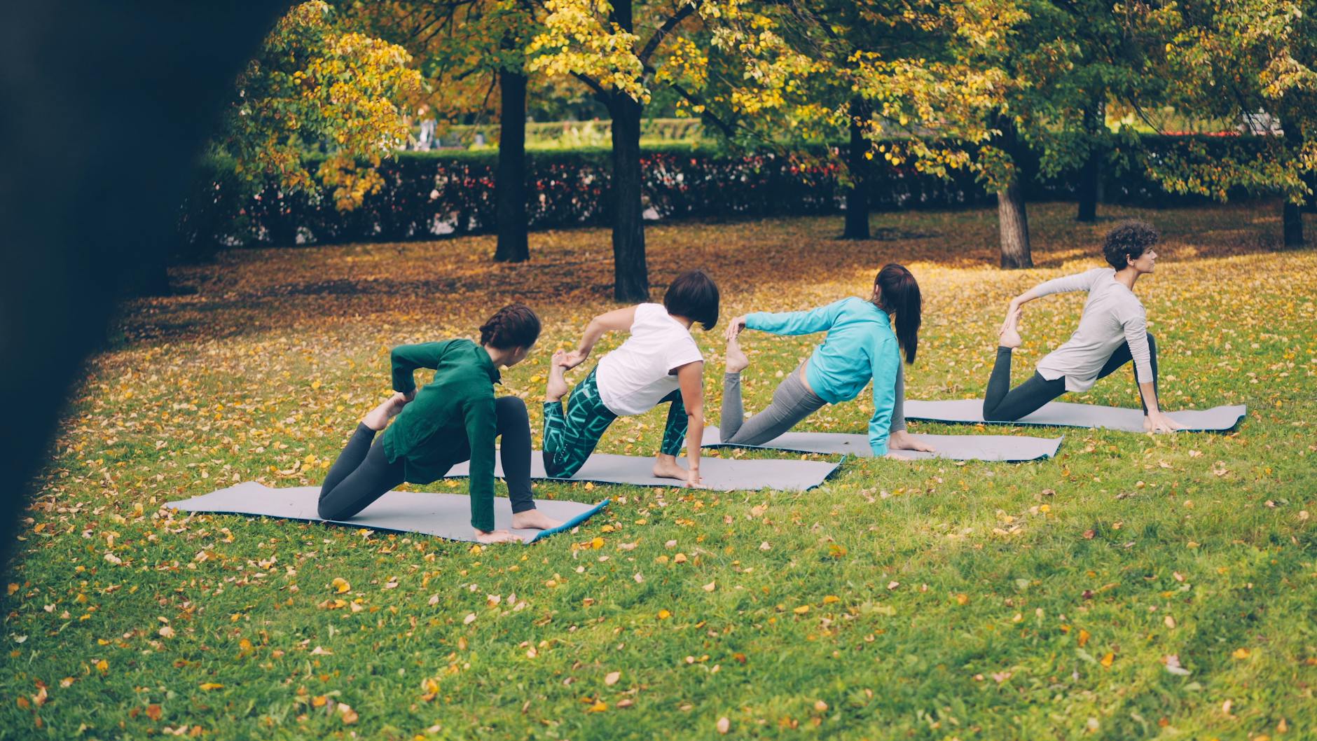 Adults practicing yoga poses on mats outdoors in a park during autumn. - outdoor yoga beginner