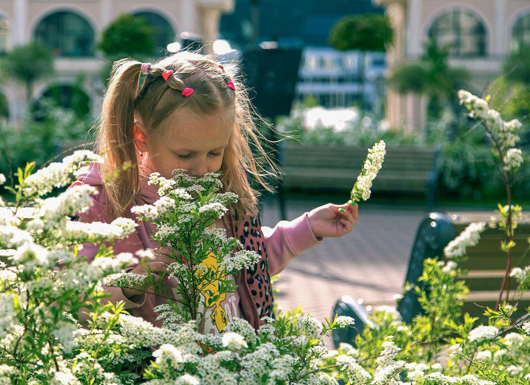 A little girl in a pink hoodie admires white flowers in an urban garden, capturing a moment of serene childhood wonder. - spring allergy causes