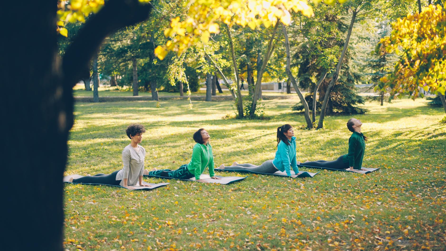 Group of adults practicing yoga in a scenic fall park setting. - spring yoga renewal